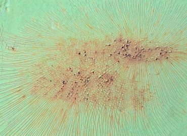 Czy odplamiacze uniwersalne działają na wszystko?