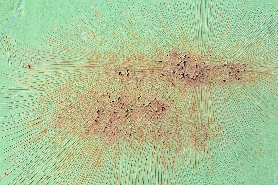 Czy odplamiacze uniwersalne działają na wszystko?