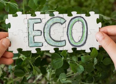 Zrównoważony rozwój w chemii gospodarczej: Jak producenci detergentów mogą zmniejszyć ślad węglowy przez ekologiczne opakowania